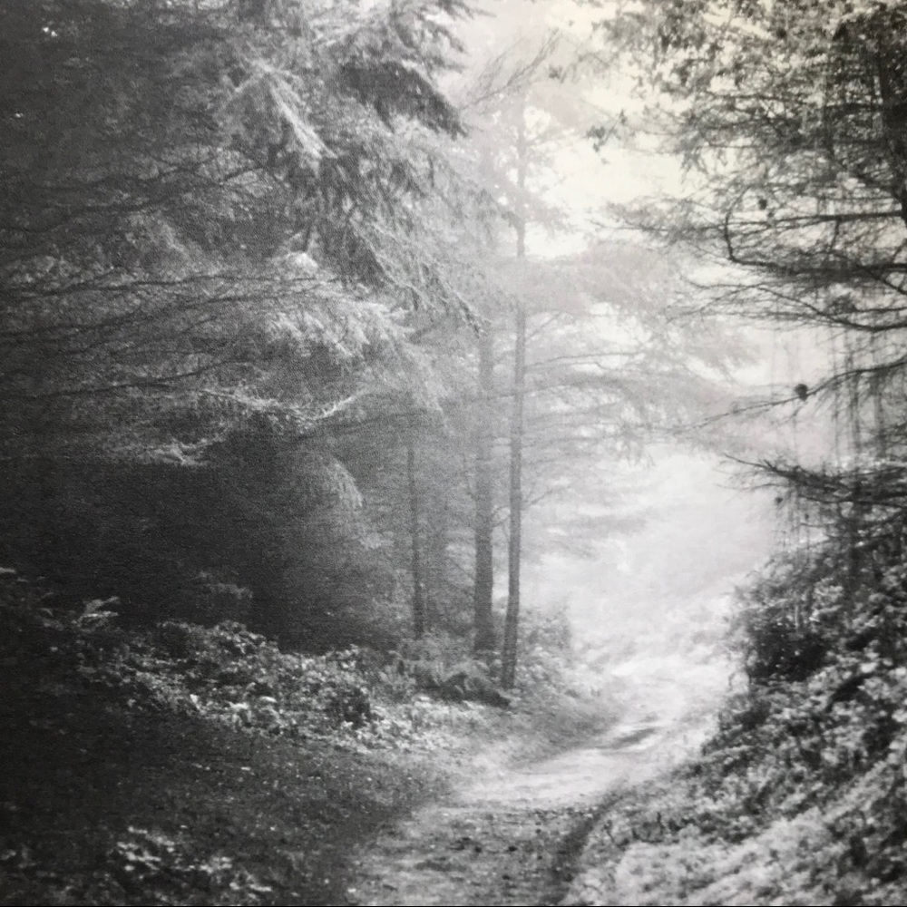 I Sell Photography Art Prints - Picture 9 of 16